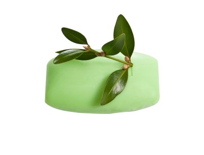 plastic soap molds in many shapes