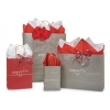 8 in. x 4.75 in. x 10 in. Medium (Cub) Paper Gift Bag in 9 Colors 100% Recycled Mix & Match for VOLUME DISCOUNTS