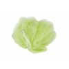 Lime Green/White16 Gram Scrubbing Sponge  VOLUME DISCOUNTS