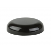 black dome