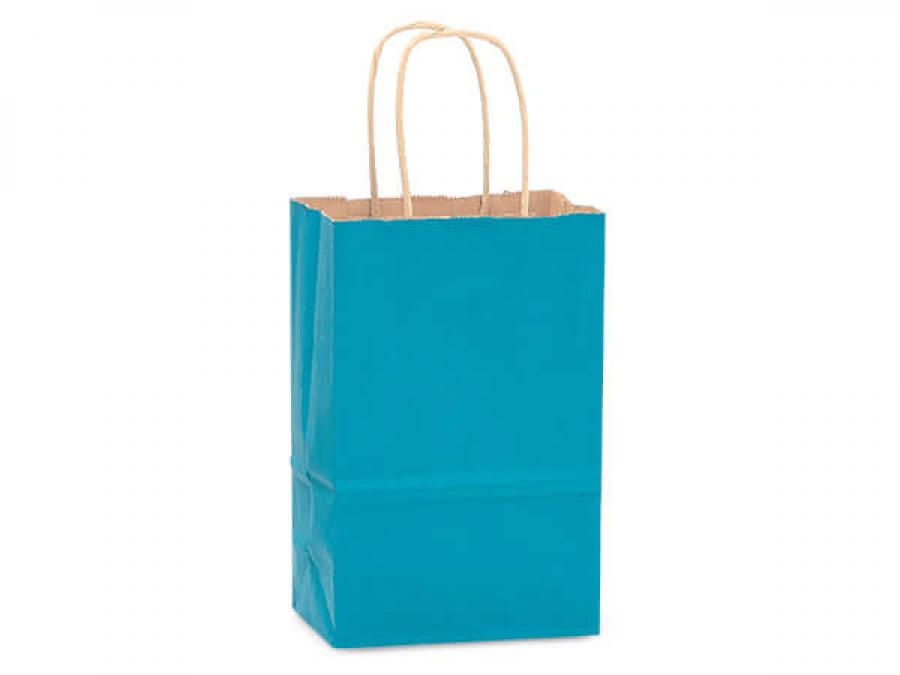 Caribbean Blue Small (Rose) Paper Kraft Gift Bag (5.5 in. x 3.25 in. x 8 in.) 100% Recycled