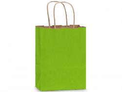 Green Apple Medium (Cub) Paper Kraft Gift Bag (8 in. x 4.75 in. x 10 in.) 100% Recycled