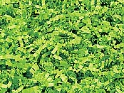 1 lb. Bag Lime Crinkle Paper