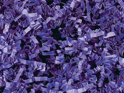 1 lb. Bag Purple Crinkle Paper