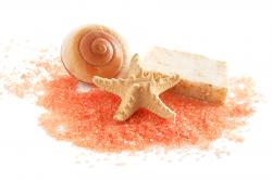 8 x 10 in. Plastic Sheet Soap Mold (Nautical) (1 dolphin, 2 clam shells & 2 star fish) Makes 2 oz Soap  VOLUME DISCOUNTS