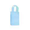 Small (Rose) Aqua Plastic Frosted Gift Bag (5.5 in. x 3.25 in x 8 in) 100% Recycled VOLUME DISCOUNTS