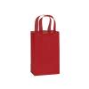Small (Rose) Red Plastic Frosted Gift Bag (5.5 in. x 3.25 in x 8 in) 100% Recycled