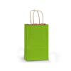 Green Apple Small (Rose) Paper Kraft Gift Bag (5.5 in. x 3.25 in. x 8 in.) 100% Recycled