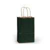 Green Hunter Small (Rose) Paper Kraft Gift Bag (5.5 in. x 3.25 in. x 8 in.) 100% Recycled