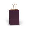 Purple Small (Rose) Paper Kraft Gift Bag (5.5 in. x 3.25 in. x 8 in.) 100% Recycled