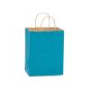 Caribbean Blue Medium (Cub) Paper Kraft Gift Bag (8 in. x 4.75 in. x 10 in.) 100% Recycled