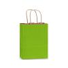 Green Apple Medium (Cub) Paper Kraft Gift Bag (8 in. x 4.75 in. x 10 in.) 100% Recycled