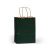 Hunter Green Medium (Cub) Paper Kraft Gift Bag (8 in. x 4.75 in. x 10 in.) 100% Recycled