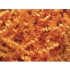 1 lb. Bag Cognac Crinkle Paper