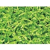 1 lb. Bag Lime Crinkle Paper