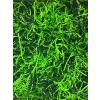 1 lb. Bag Monster Mix Crinkle Paper-Black-Lime Green